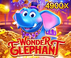 Wonder Elephant - RIVAL168