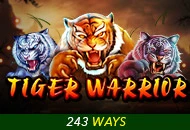 Tiger Warrior - RIVAL168