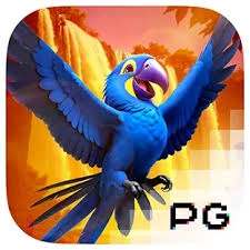 Wings of Iguazu - RIVAL168